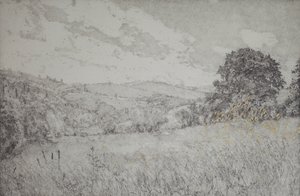 2016年ゴールデンデー、紙にエッチング、アクアチント、手彩色 作： angus hampel